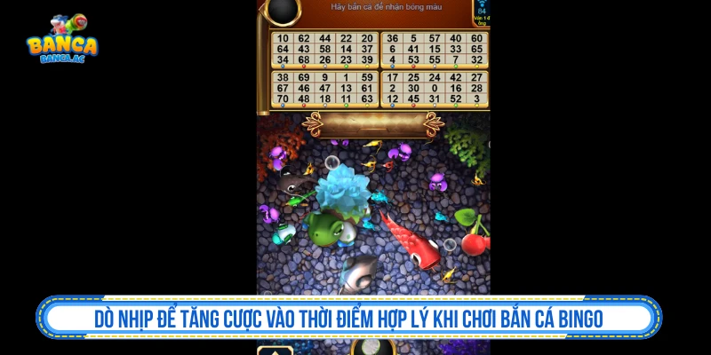 Dò nhịp để tăng cược vào thời điểm hợp lý khi chơi bắn cá Bingo