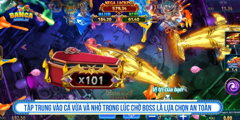 Tập trung vào cá vừa và nhỏ trong lúc chờ boss là lựa chọn an toàn