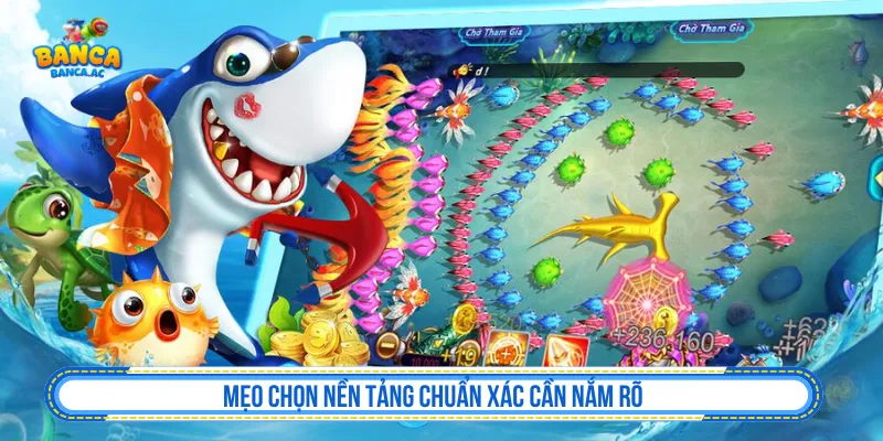 Tìm hiểu nhà cung cấp và các thông tin hoạt động